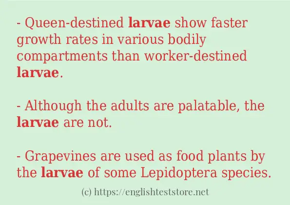 Some sentences in use of larvae