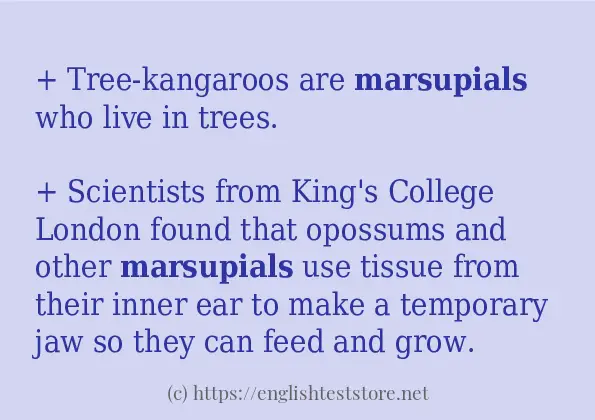 Some sentences in use of marsupials
