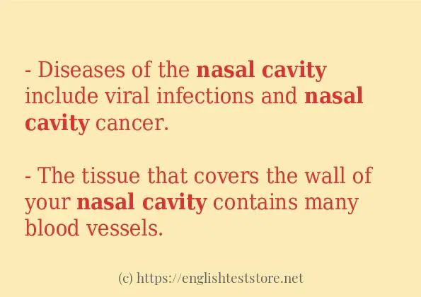 Some sentences in use of nasal cavity