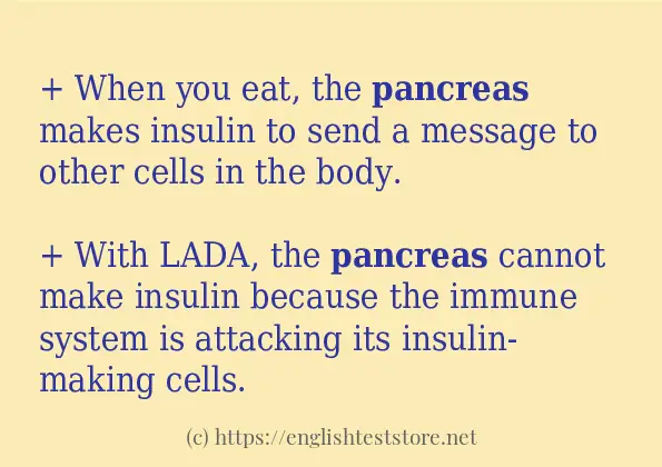 Some sentences in use of pancreas