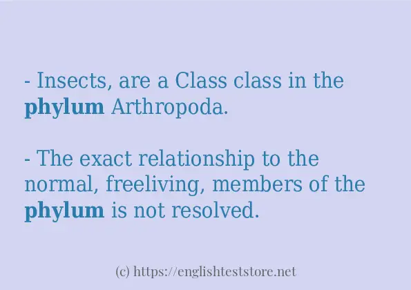 Some sentences in use of phylum
