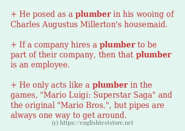 Some sentences in use of plumber