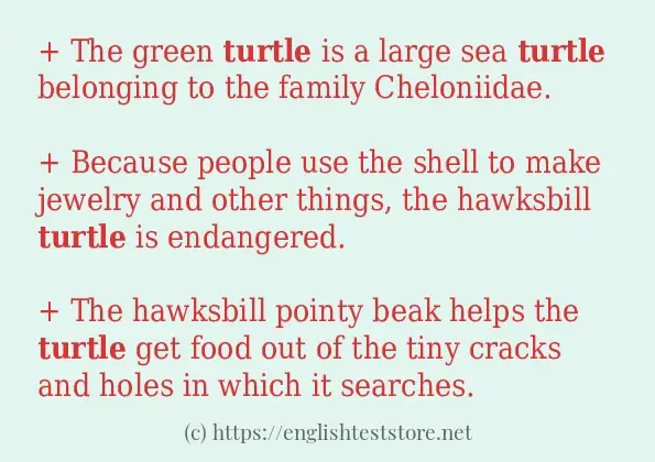 Some sentences in use of turtle