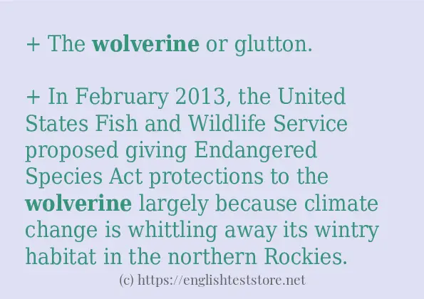 Some sentences in use of wolverine