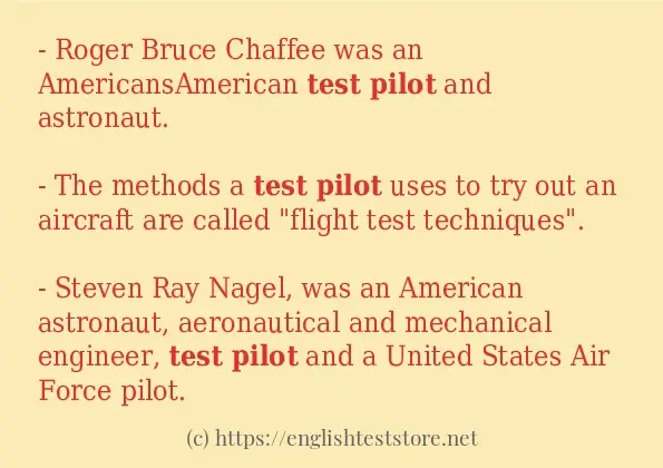 Test pilot - sentence examples