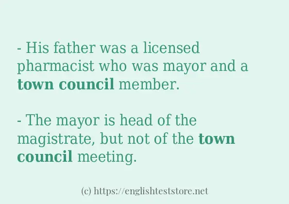 Town council some example sentences