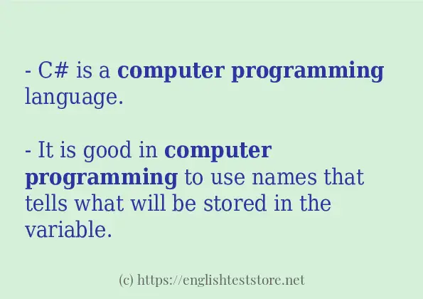 Use in sentence of Computer programming