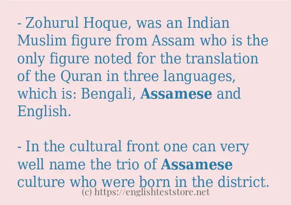 Use in sentence of assamese