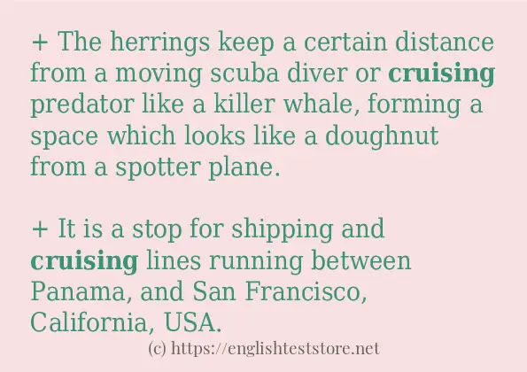 Use in sentence of cruising