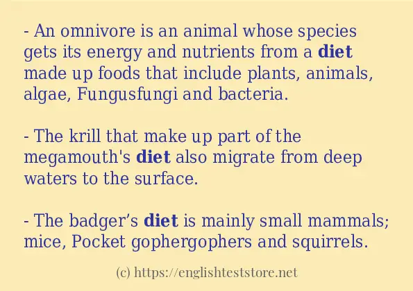 use-in-sentence-of-diet-englishteststore-blog