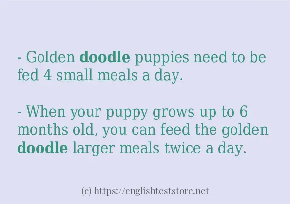 Use in sentence of doodle