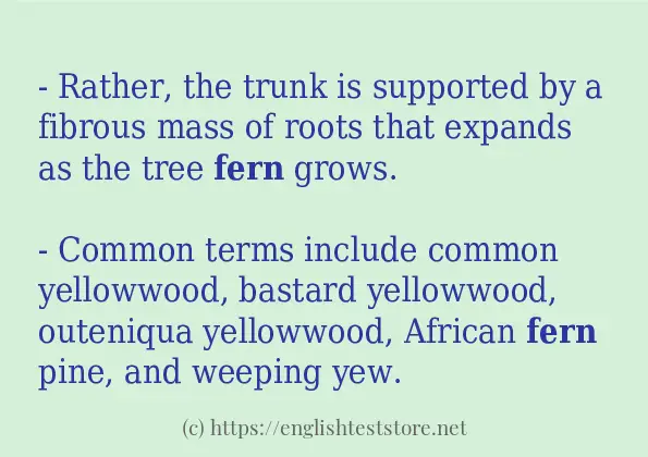 Use in sentence of fern