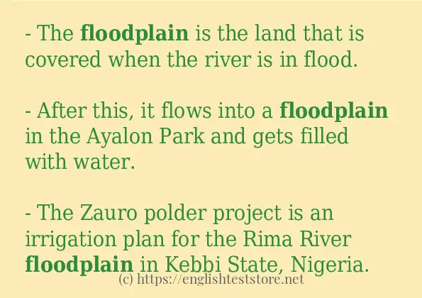 Use in sentence of floodplain