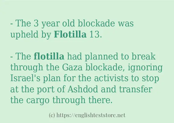 Use in sentence of flotilla