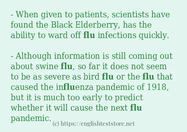 Use in sentence of flu