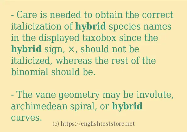 Use in sentence of hybrid