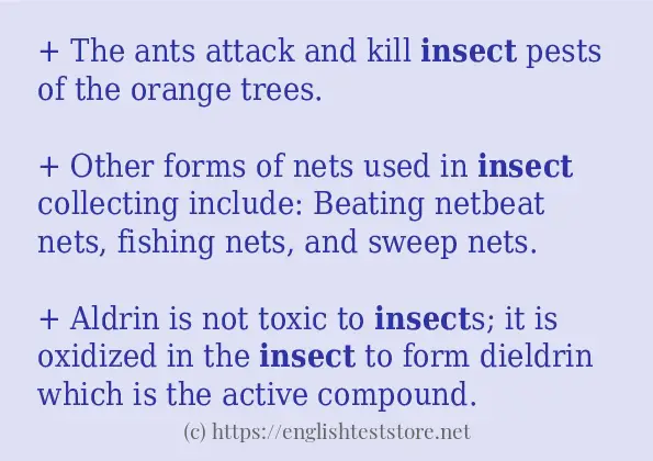 Use in sentence of insect