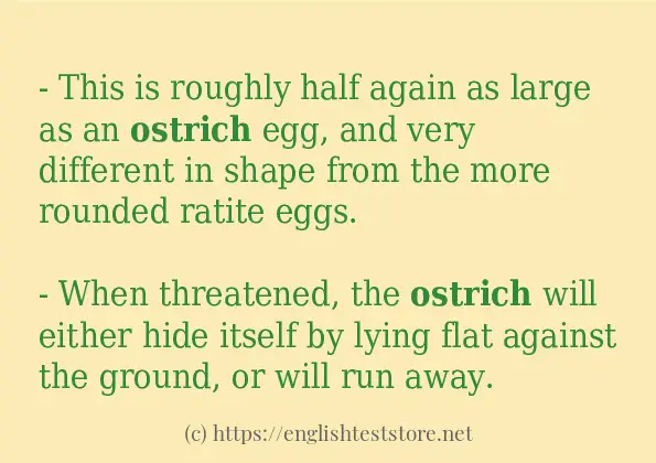 Use in sentence of ostrich