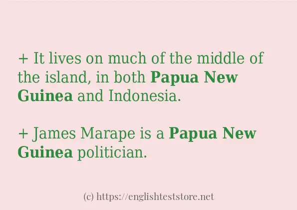 Use in sentence of papua new guinea