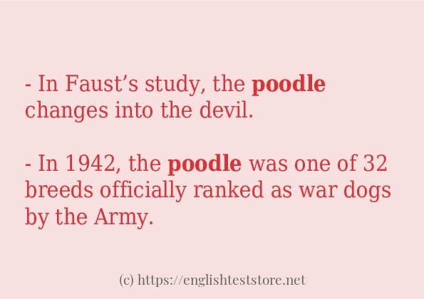 Use in sentence of poodle