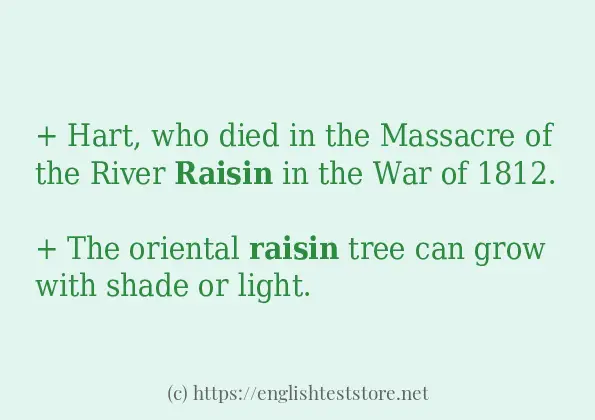 Use in sentence of raisin