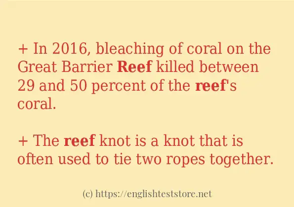 Use in sentence of reef