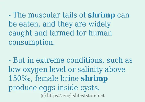 Use in sentence of shrimp