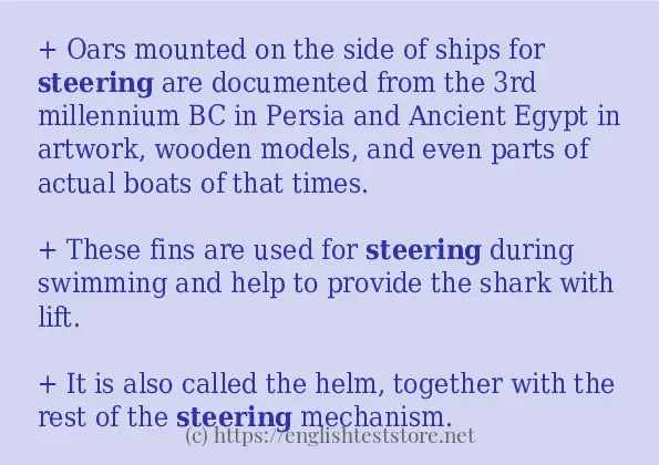 Use in sentence of steering
