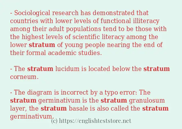 Use in sentence of stratum