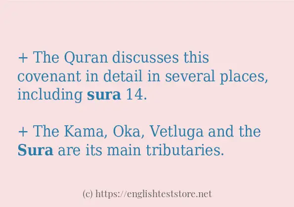Use in sentence of sura