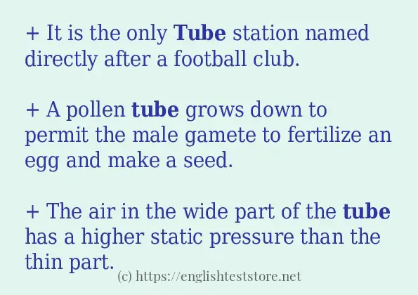 Use in sentence of tube