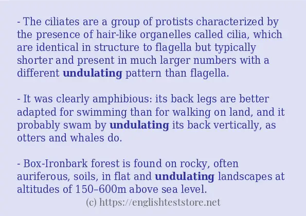 Use in sentence of "undulating" - EnglishTestStore Blog