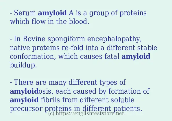 Use the word amyloid