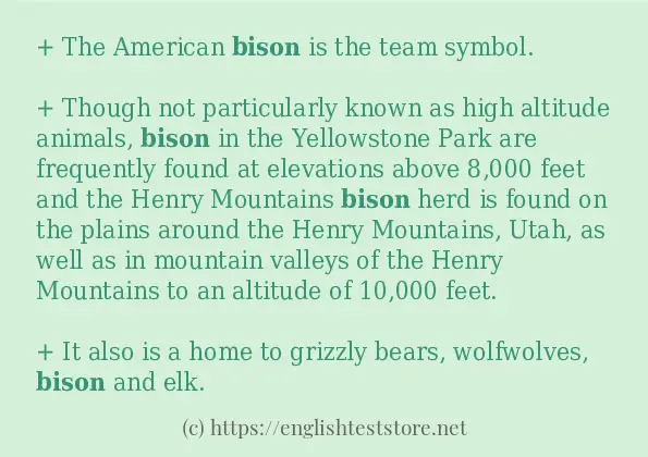 Use the word bison