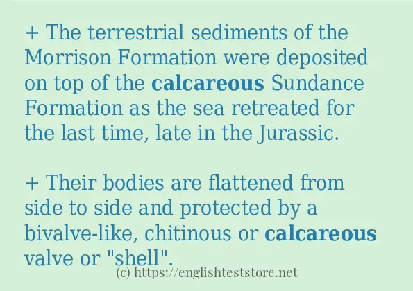 Use the word calcareous