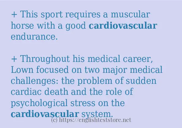 Use the word cardiovascular