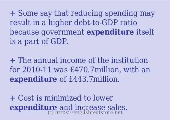 Use the word expenditure