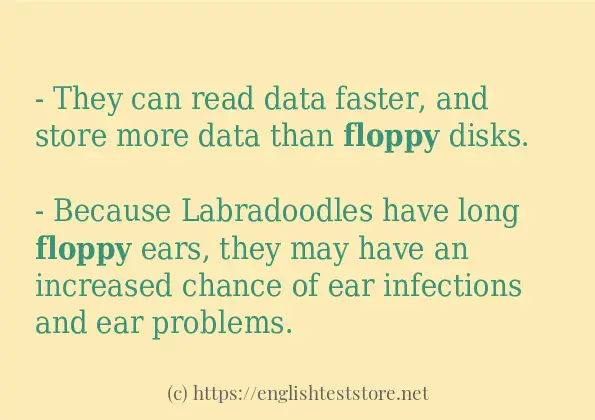 Use the word floppy