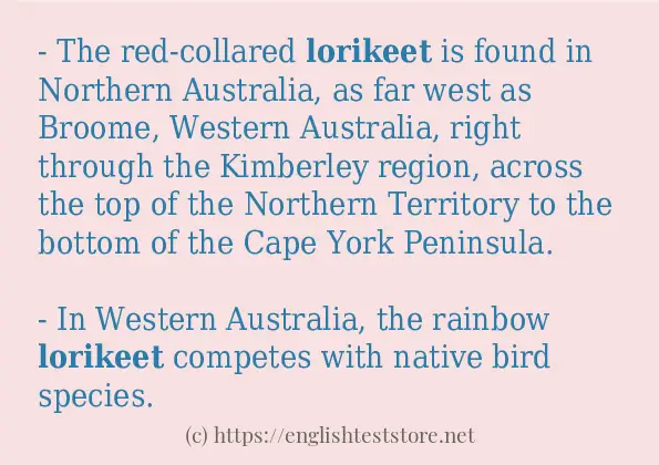 Use the word lorikeet