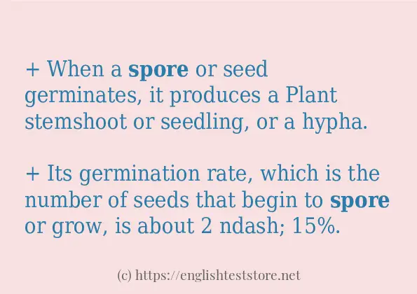 Use the word spore