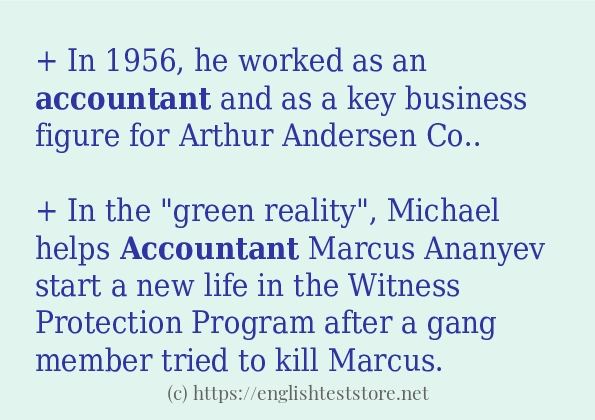 accountant - sentence examples