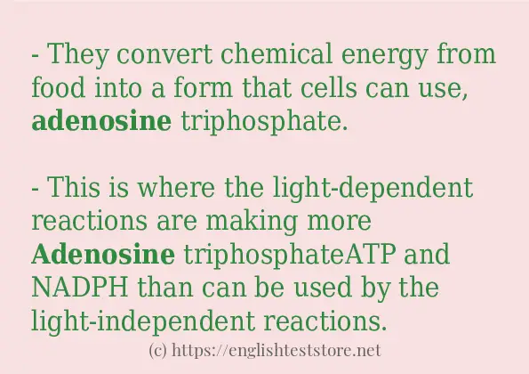 adenosine - sentence examples