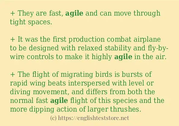 agile how to use in sentences