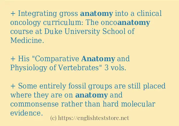 anatomy example in sentences