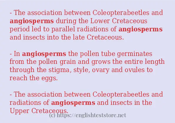 angiosperms - sentence examples