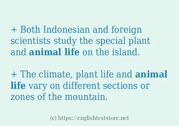 animal life how to use in sentences