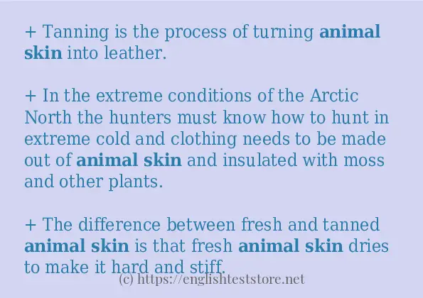 animal skin use in sentences