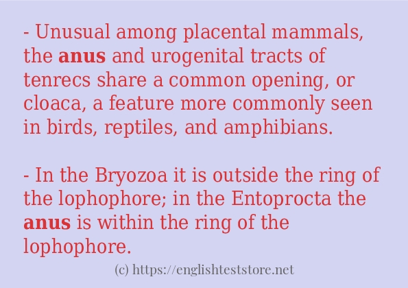 anus use in-sentences anus use in-sentences