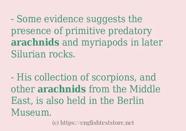 arachnids in-sentences arachnids in-sentences