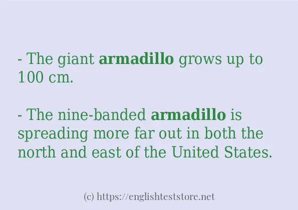 armadillo how to use in sentences